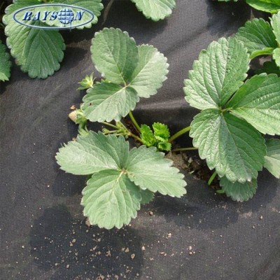 Nonwoven Agricultural Weed Mat Sunscreen Insulation Agricultural Pp Non Woven Weed Control Mat